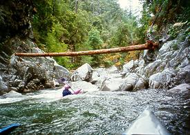 Wooley Creek in Marble Mountain wilderness