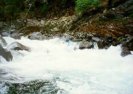 Wooley Creek in Marble Mountain wilderness