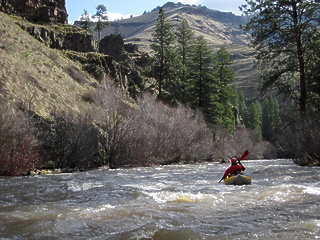 Whipface Creek OR