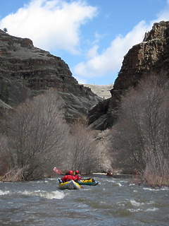 Whipface Creek OR