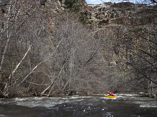 Whipface Creek OR