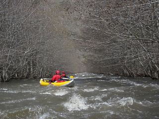 Whipface Creek OR