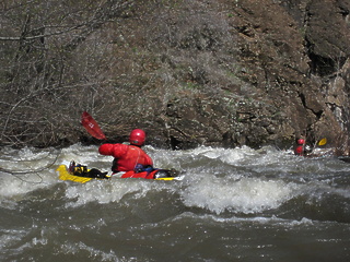 Whipface Creek OR