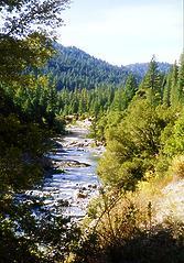 North Fork Yuba below Goodyear Bar