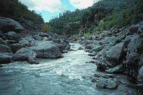 Yuba River below Englebright Dam