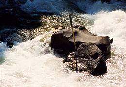 Rogue River Blossom Bar OR