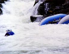 Rogue River Rainie Falls OR