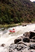 Rogue River Rainie Falls OR