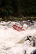 Rogue River Rainie Falls OR