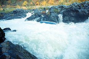 Rogue River Rainey Falls OR